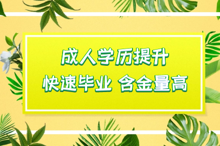 ?？粕ㄟ^統(tǒng)考專升本讀本科然后考研可行嗎