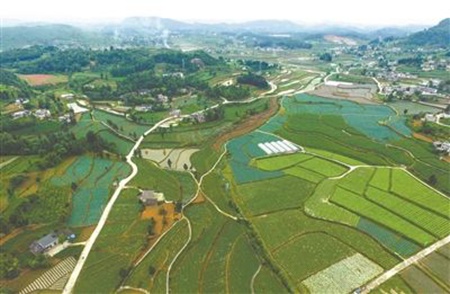 畢節(jié)農業(yè)學校