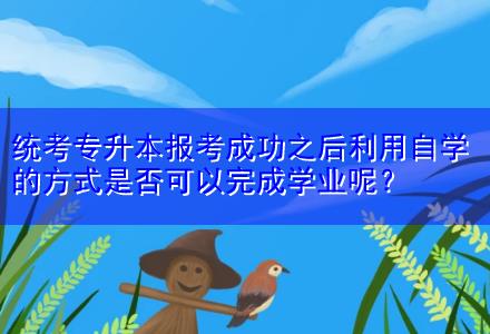 統(tǒng)考專升本報(bào)考成功之后利用自學(xué)的方式是否可以完成學(xué)業(yè)呢？