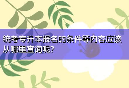 統(tǒng)考專升本報名的條件等內(nèi)容應(yīng)該從哪里查詢呢？