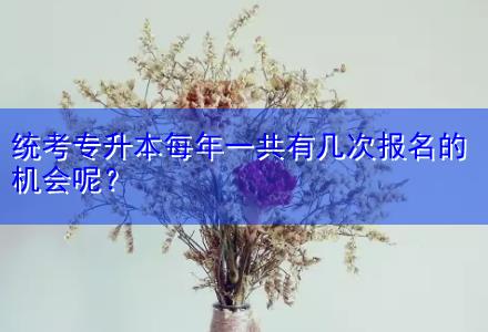 統(tǒng)考專升本每年一共有幾次報名的機會呢？