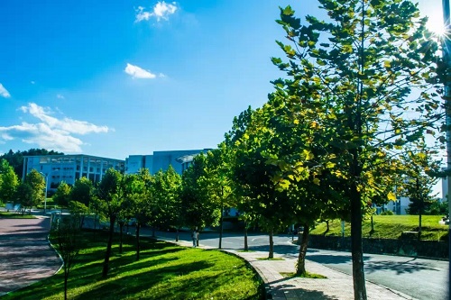 長順中等職業(yè)學(xué)校什么專業(yè)好