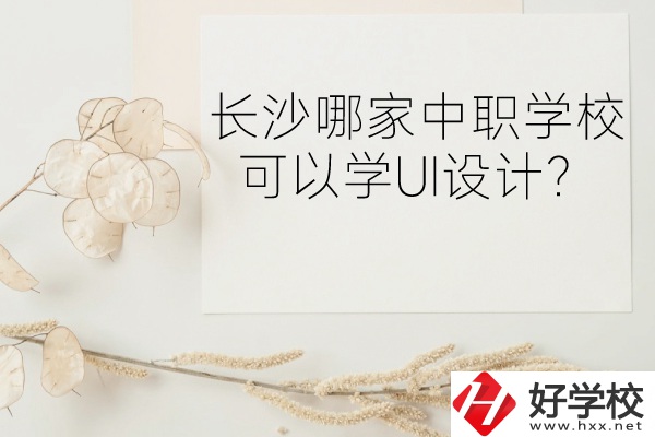 長沙哪家中職學(xué)校可以學(xué)UI設(shè)計(jì)？