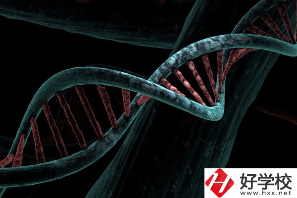 溆浦縣職業(yè)中等專業(yè)學(xué)校宿舍怎么樣？