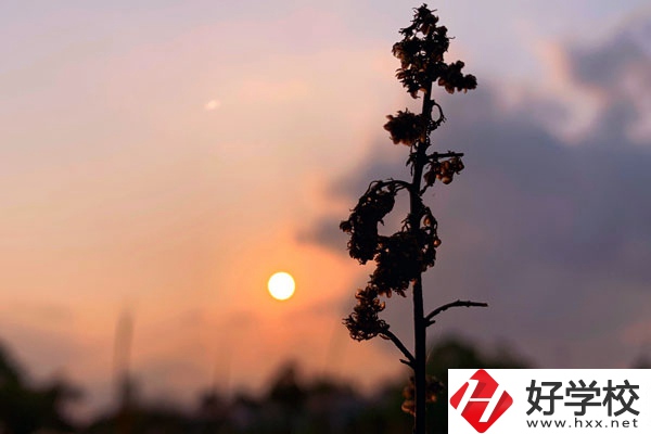 邵陽哈博職業(yè)中專學(xué)校好不好？有什么辦學(xué)特色？