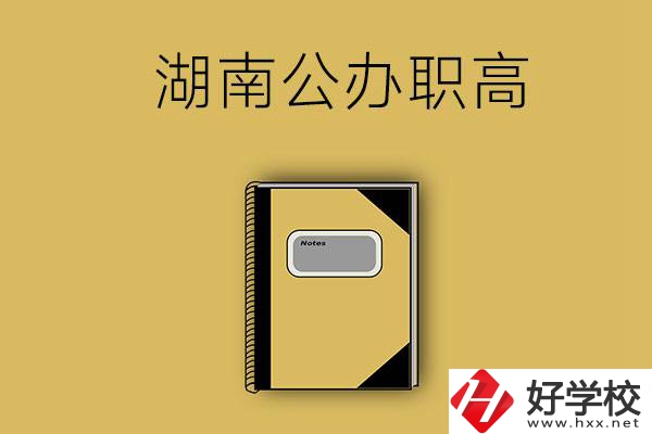 想在湖南讀公辦職高，推薦這三所學校