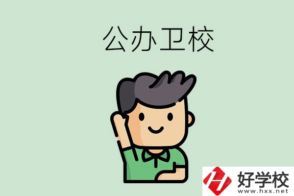 湖南的公辦衛(wèi)校有哪些？這兩所學(xué)校值得推薦！