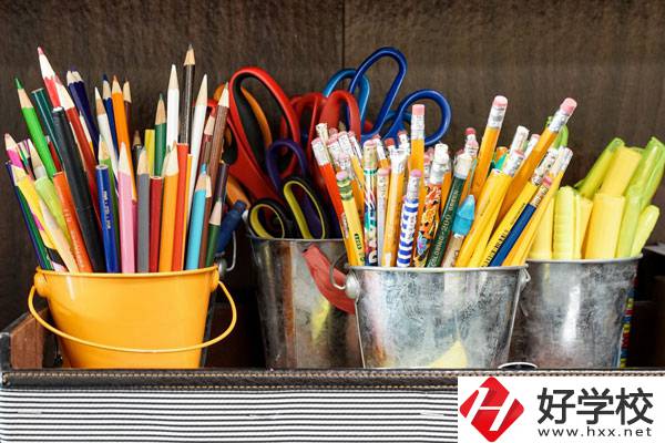 在懷化有什么職校可以學(xué)習(xí)幼師？好不好？