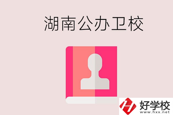想在湖南上公辦衛(wèi)?？梢赃x擇哪些學(xué)校？