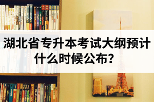 湖北省專升本考試大綱預(yù)計(jì)什么時(shí)候公布？現(xiàn)階段怎么備考比較好？