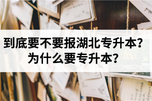到底要不要報湖北專升本？為什么要專升本？