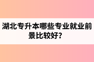 湖北專升本哪些專業(yè)就業(yè)前景比較好？