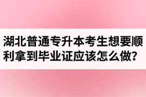 湖北普通專(zhuān)升本考生想要順利拿到畢業(yè)證應(yīng)該怎么做？