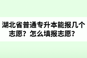 湖北省普通專升本能報幾個志愿？怎么填報志愿？