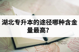 湖北普通專升本英譯漢段落翻譯分析應(yīng)該怎么做？