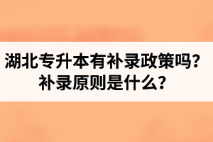 湖北專升本有補(bǔ)錄政策嗎？補(bǔ)錄原則是什么？