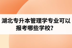 湖北專升本管理學(xué)專業(yè)可以報(bào)考哪些學(xué)校？屬于管理學(xué)的專業(yè)有哪些？