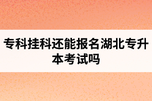 ?？茠炜七€能報(bào)名湖北專升本考試嗎？在哪里能獲取最新的專升本資訊？