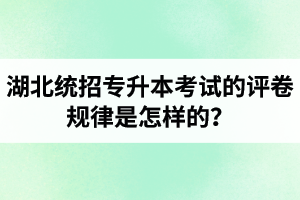 湖北統(tǒng)招專升本考試的評(píng)卷規(guī)律是怎樣的？怎么避免丟失細(xì)節(jié)分？