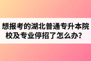 想報考的湖北普通專升本院校及專業(yè)停招了怎么辦？