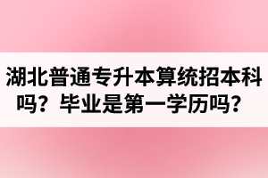 湖北普通專升本算統(tǒng)招本科嗎？專升本學(xué)歷是第一學(xué)歷嗎？