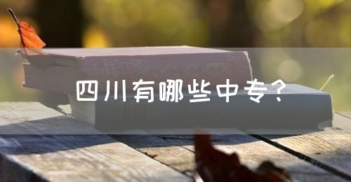 四川有哪些中專？(圖1)