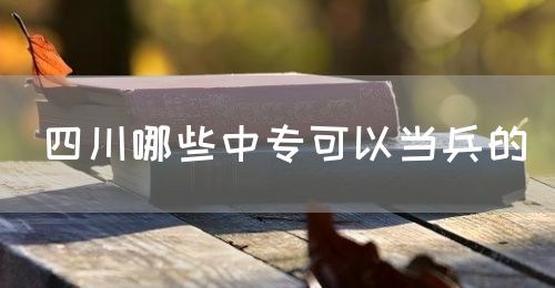 四川哪些中?？梢援?dāng)兵的(圖1)