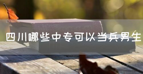 四川哪些中專可以當(dāng)兵男生(圖1)