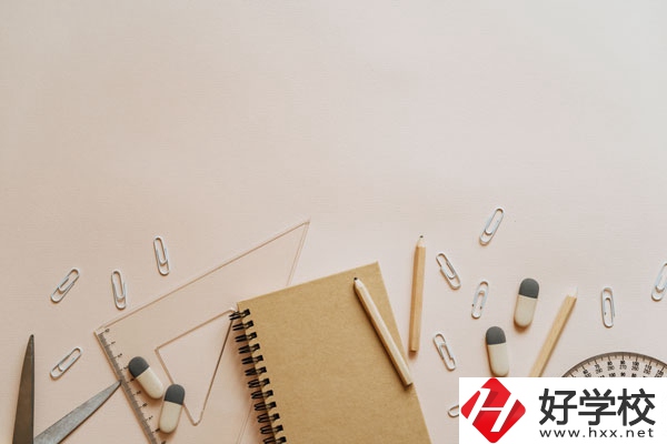衡陽(yáng)計(jì)算機(jī)學(xué)校計(jì)算機(jī)專(zhuān)業(yè)好不好？