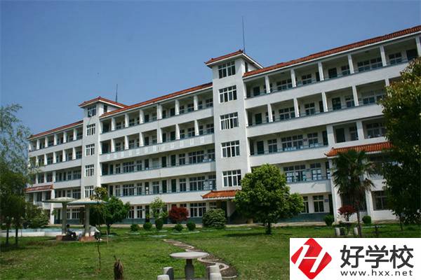 湖南想做程序員讀什么中職好？就業(yè)升學(xué)怎么樣？