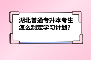 湖北普通專升本考生怎么制定學習計劃？