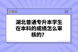 湖北普通專升本學生在本科的成績怎么審核的？