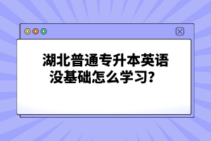 湖北普通專升本英語沒基礎(chǔ)怎么學(xué)習(xí)？