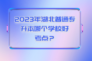 2023年湖北普通專升本哪個學(xué)校好考點?