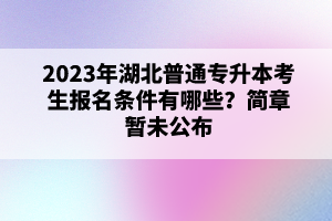 2023年湖北普通專升本考生報(bào)名條件有哪些？簡章暫未公布