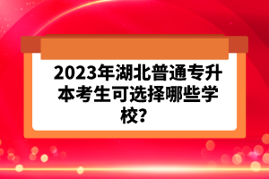 2023年湖北普通專升本考生可選擇哪些學校?