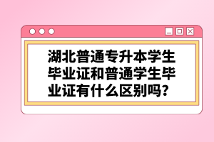 湖北普通專升本學(xué)生畢業(yè)證和普通學(xué)生畢業(yè)證有什么區(qū)別嗎？