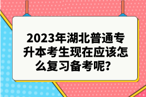 2023年湖北普通專升本考生現(xiàn)在應該怎么復習備考呢？