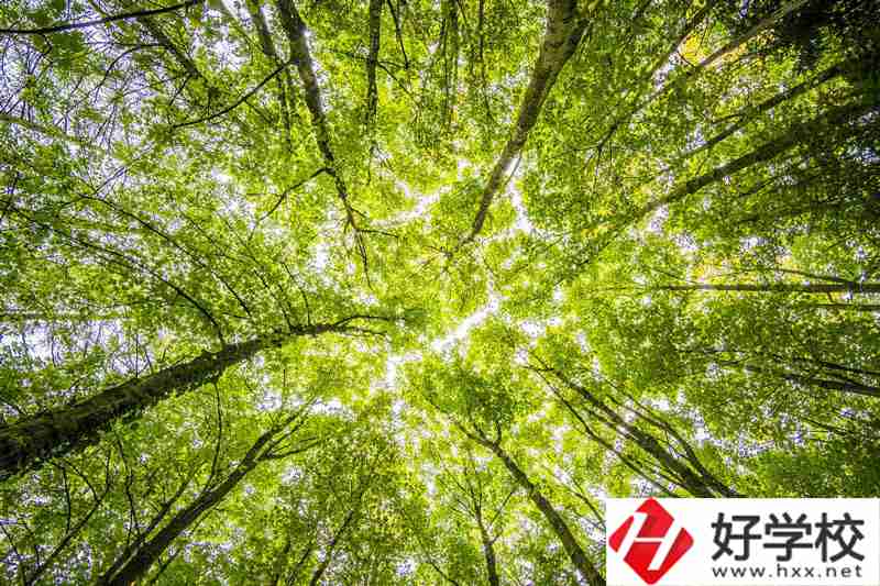 湘西州有哪些公辦中職學(xué)校？