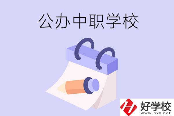 湖南公辦中職學(xué)校有哪些辦學(xué)規(guī)模比較大的？
