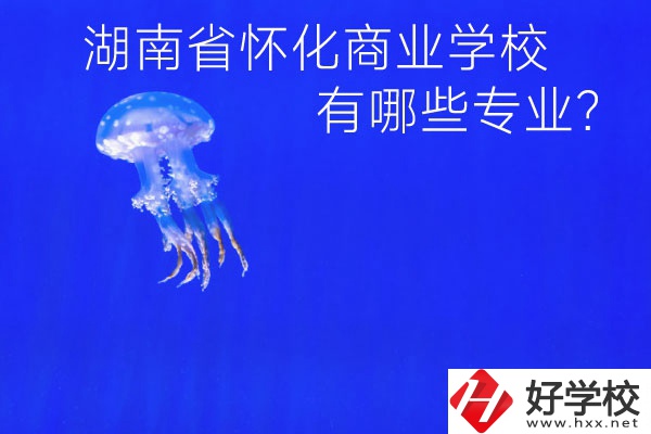 湖南省懷化商業(yè)學(xué)校好不好？有哪些專業(yè)？