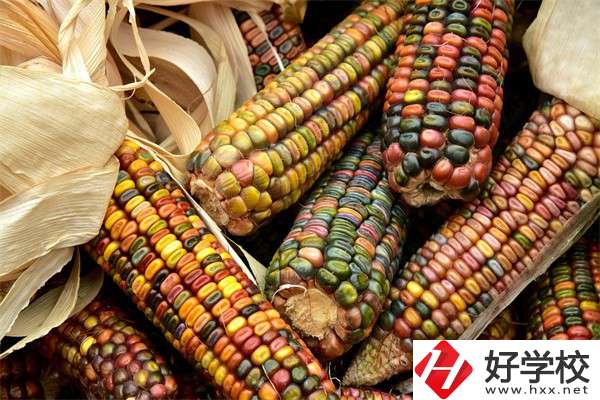 岳陽(yáng)中職學(xué)校哪些專業(yè)好？有什么學(xué)校推薦？