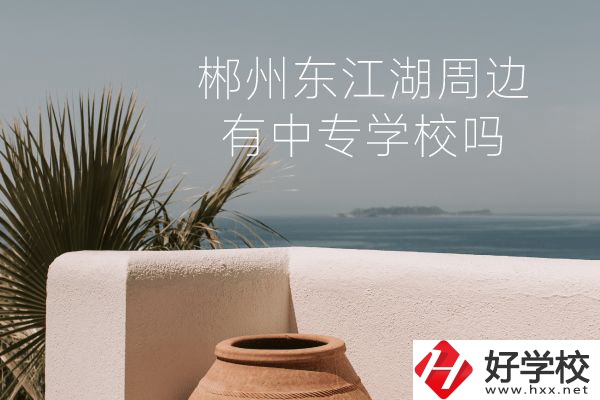郴州東江湖周邊有中專學校嗎？