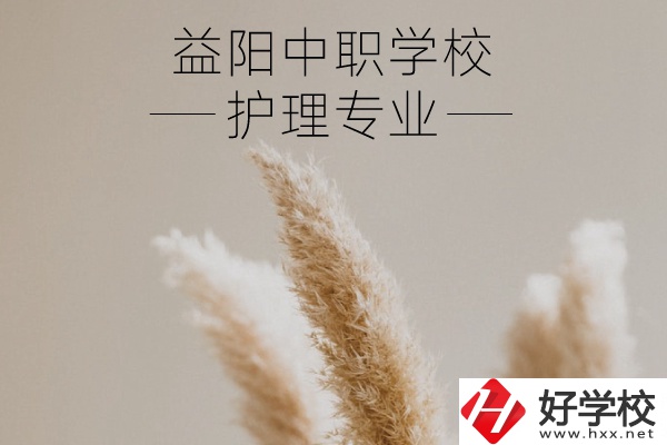 益陽(yáng)護(hù)理專(zhuān)業(yè)的中職學(xué)校有哪些？需要哪些要求？