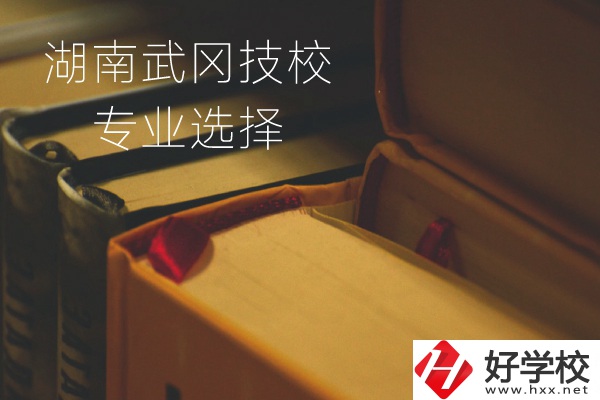 湖南武岡技校怎么樣？有哪些專(zhuān)業(yè)可以選擇？