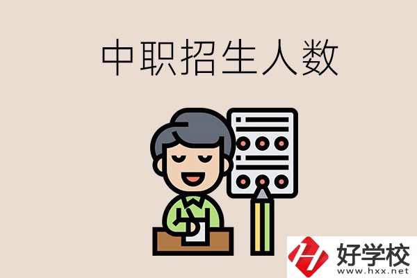 湖南中職學(xué)校每年的招生人數(shù)是多少？