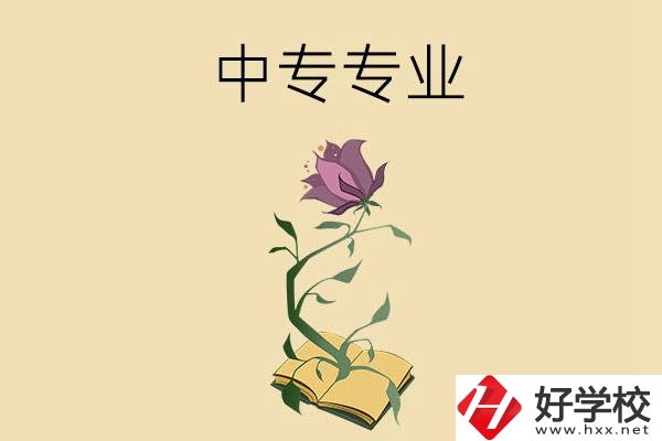 在張家界讀中專，學(xué)什么專業(yè)比較好？