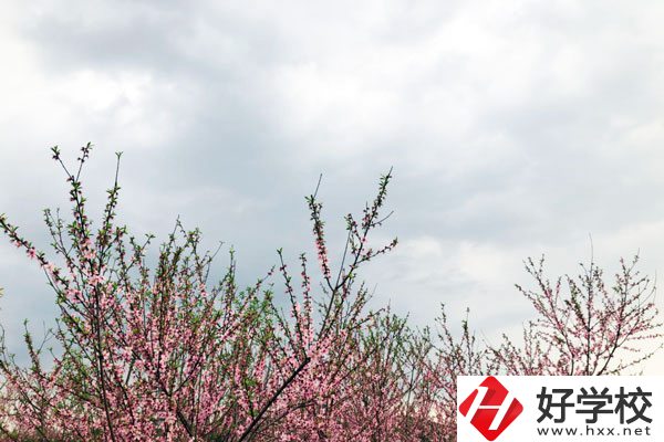 想在邵陽(yáng)讀中專(zhuān)，有哪些學(xué)校推薦？