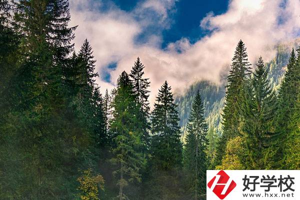永州東方科技職業(yè)學校有哪些辦學特色？