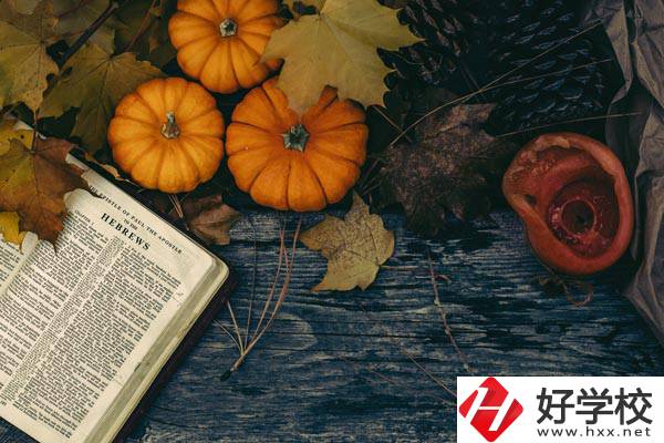 臨湘市職業(yè)中專開設(shè)哪些熱門專業(yè)、就業(yè)方向